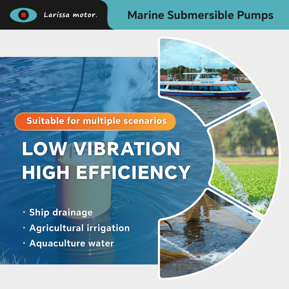 Installation Guidance for 1 HP Submersible Pumps in Projects