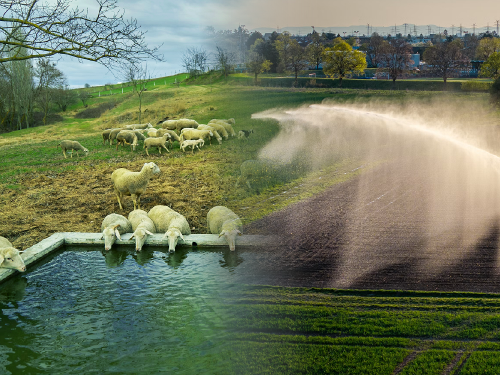 1.4b2b-agricultural-solar-pump-drip-irrigation.png