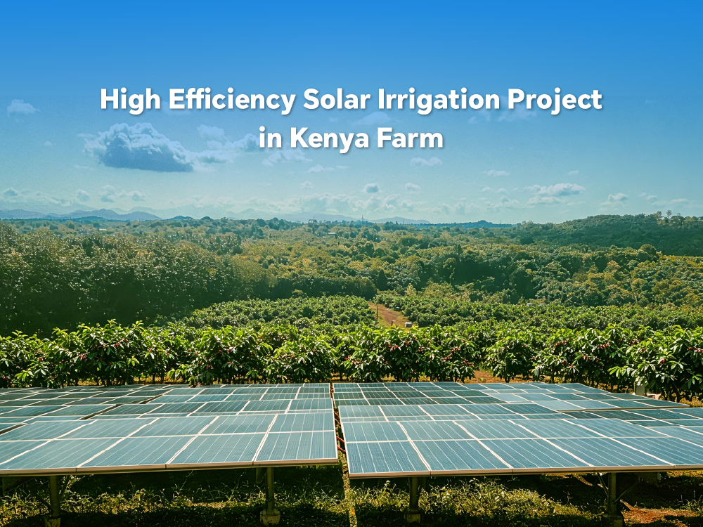 Larissa-Solar-Irrigation-Kenya-Case.png