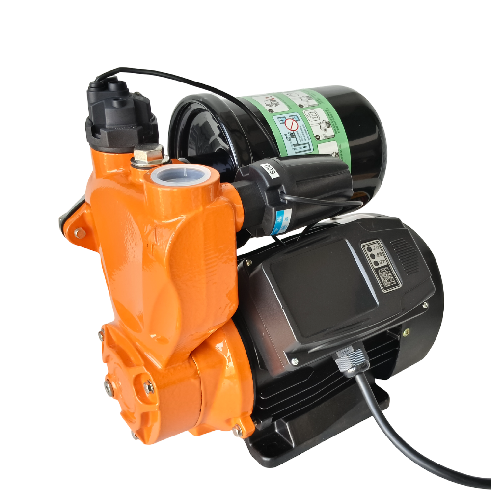 Common Problems with Automatic Watering Pumps and Solutions