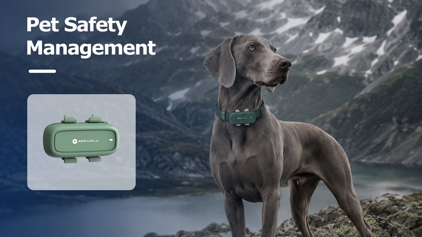 Solution de gestion de la sécurité des animaux de compagnie