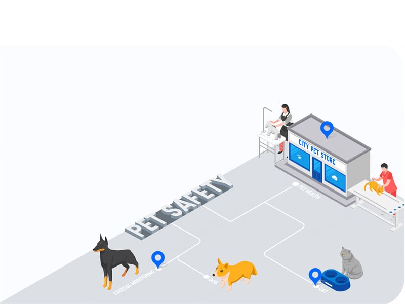 Pets / Livestock
