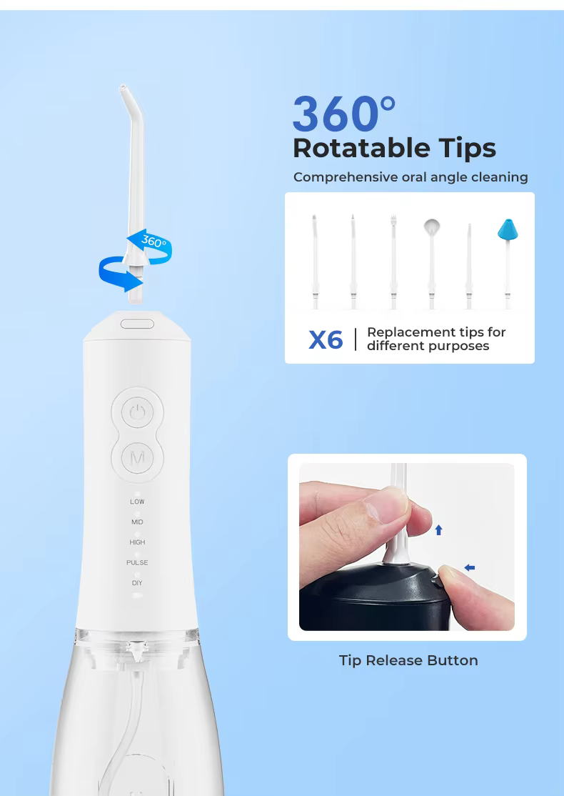 New Product  Replaceable Heads Oral Cleaning Equipment Water Dental Flosser supplier