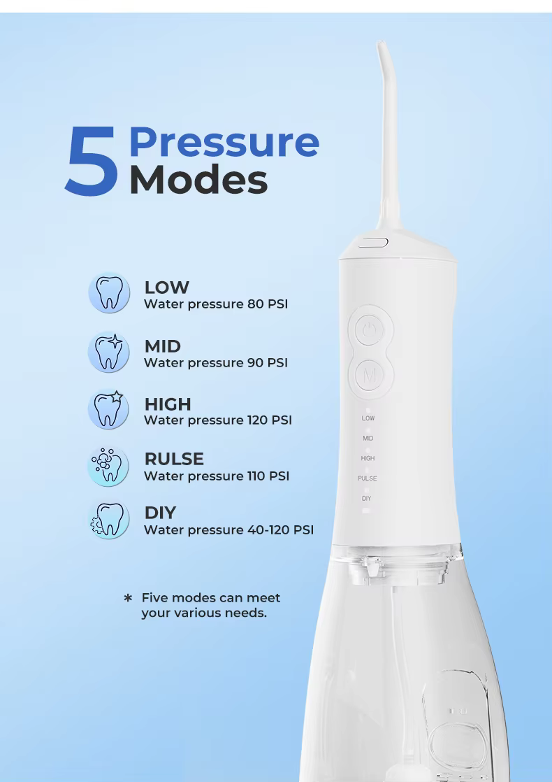 New Product  Replaceable Heads Oral Cleaning Equipment Water Dental Flosser factory