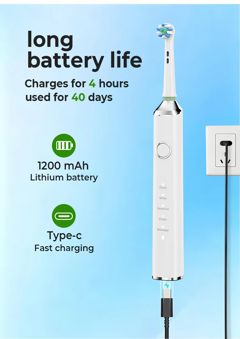 Factory Wholesale Round Head Rotating Electric Toothbrush for Adults Type-C Rechargeable factory