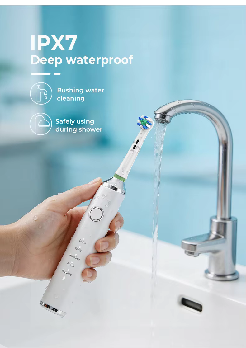 Factory Wholesale Round Head Rotating Electric Toothbrush for Adults Type-C Rechargeable details