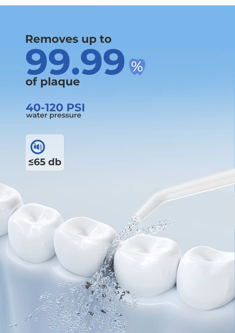 New Product  Replaceable Heads Oral Cleaning Equipment Water Dental Flosser manufacture
