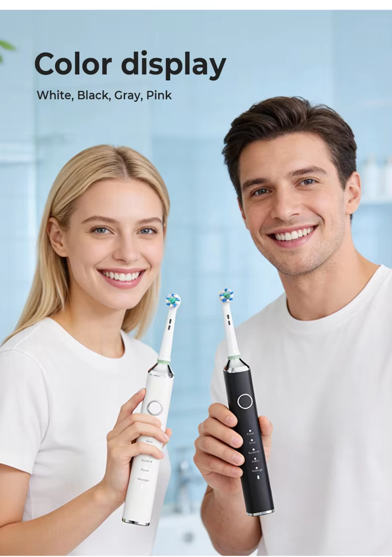 Factory Wholesale Round Head Rotating Electric Toothbrush for Adults Type-C Rechargeable factory