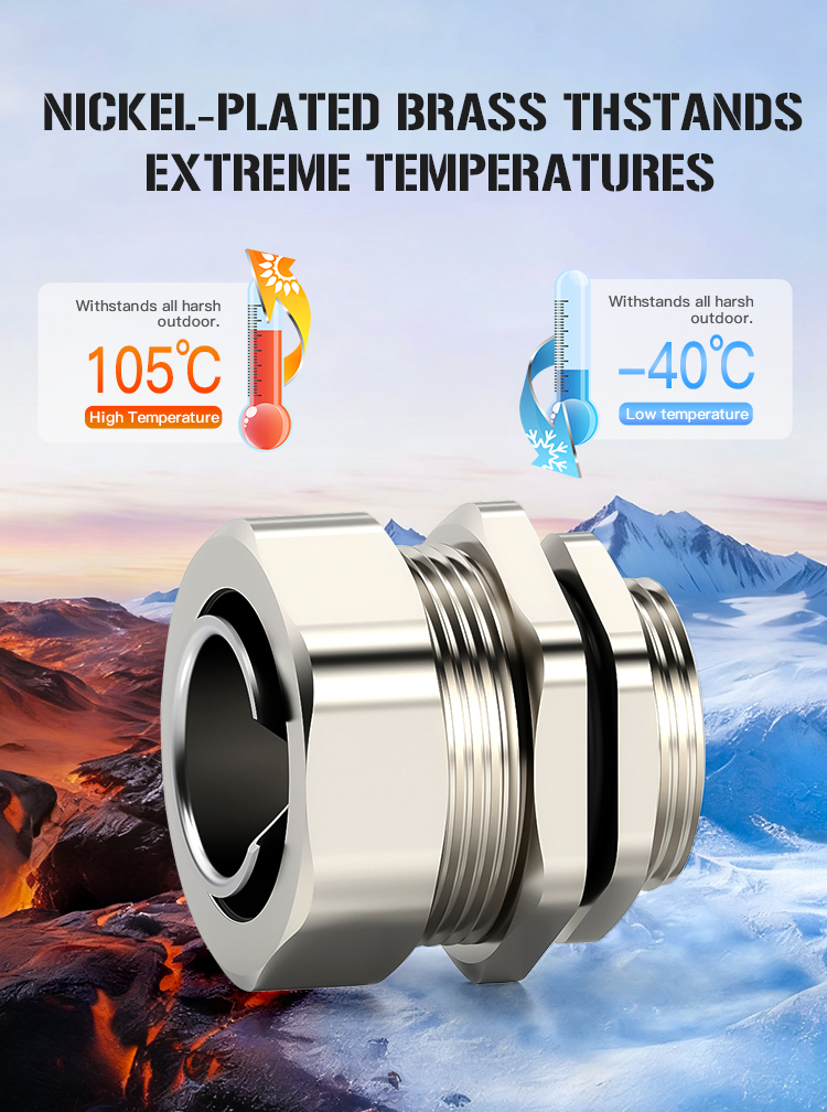 端式软管接头(Ended-Hose-Fittings)_06.jpg