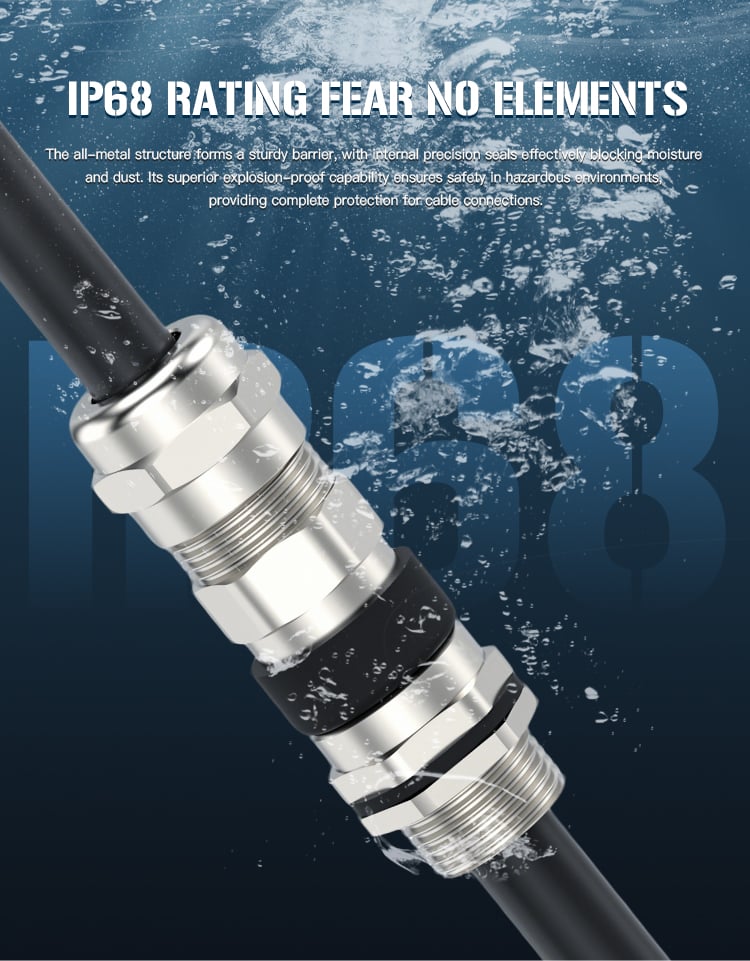 双密封铠装防爆填料函(Double-Seal-Armored-CBTL)_07.jpg