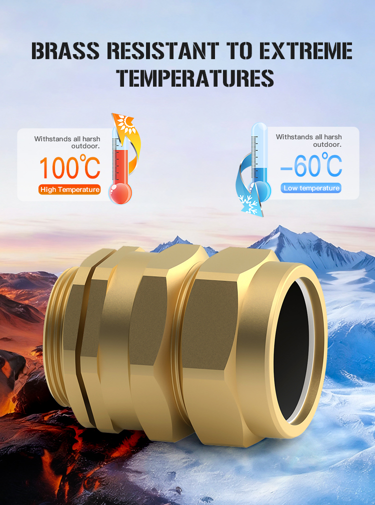 防爆电缆夹紧密封接头(Explosion-Proof-Cable-Clamp-Sealing-Joint)-CW_06.jpg