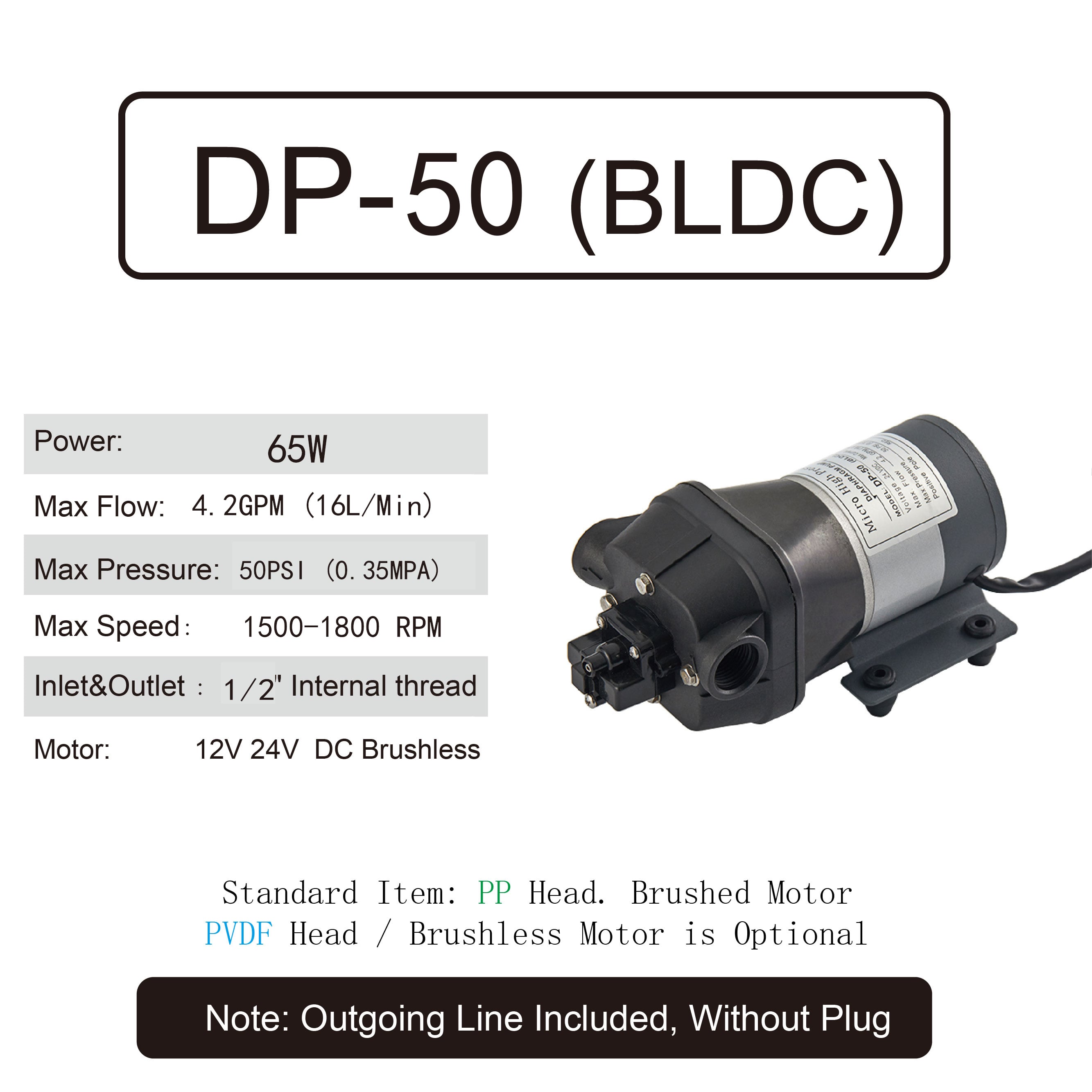 DP-50.jpg