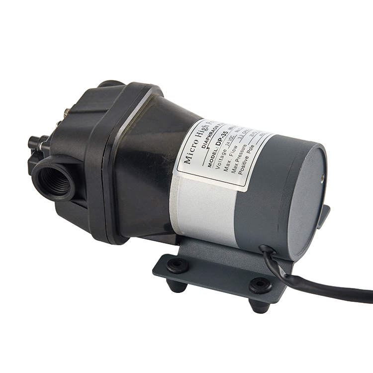 Amplio inventario y selección de productos