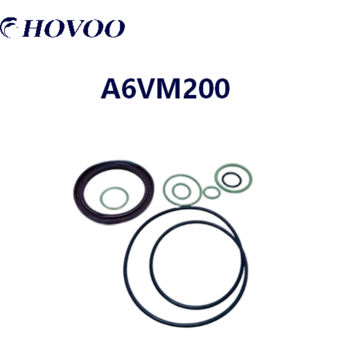 Rexroth A6VM200 þéttunarsafnsetning