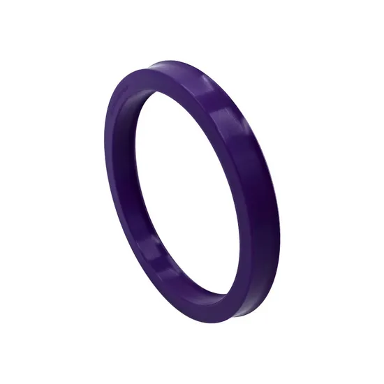 Keyword2_Seal_Ring(7c4fb8d40e).webp