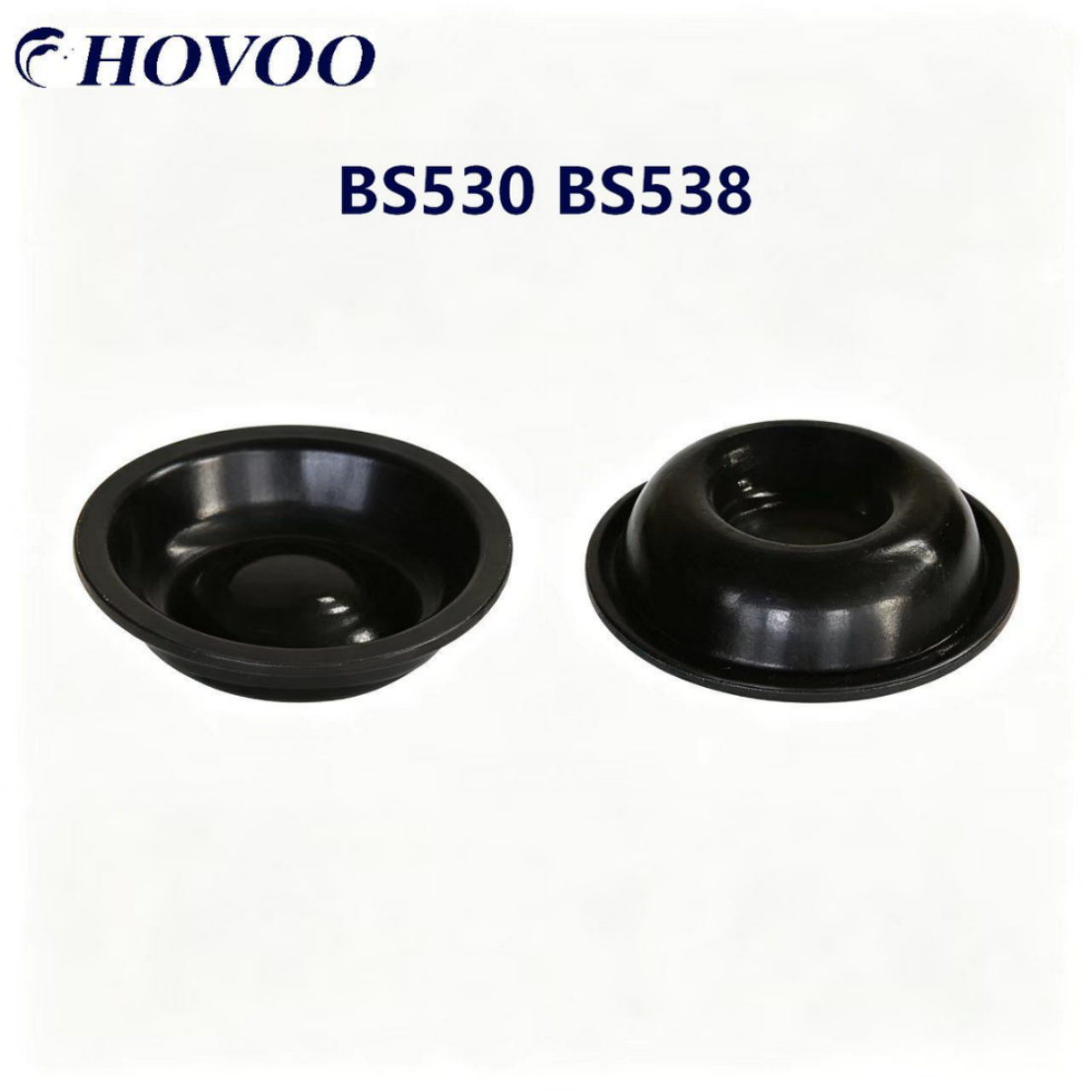 BS530 / BS538 დიაფრაგმისა და პისტონის ფირფიტების კომპლექტი