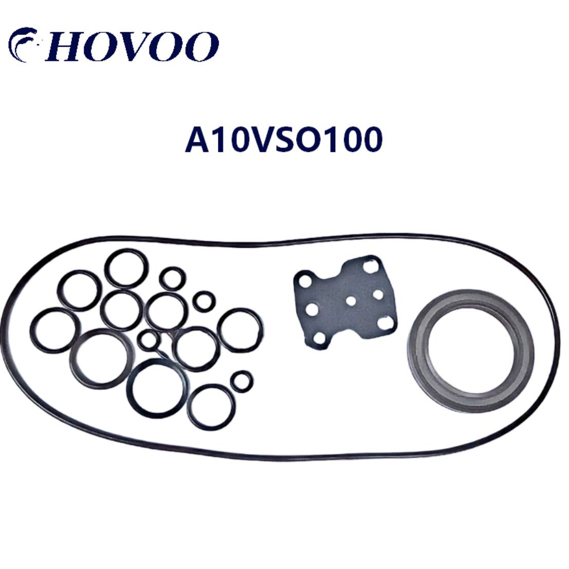 Bộ phớt Rexroth A10VSO100