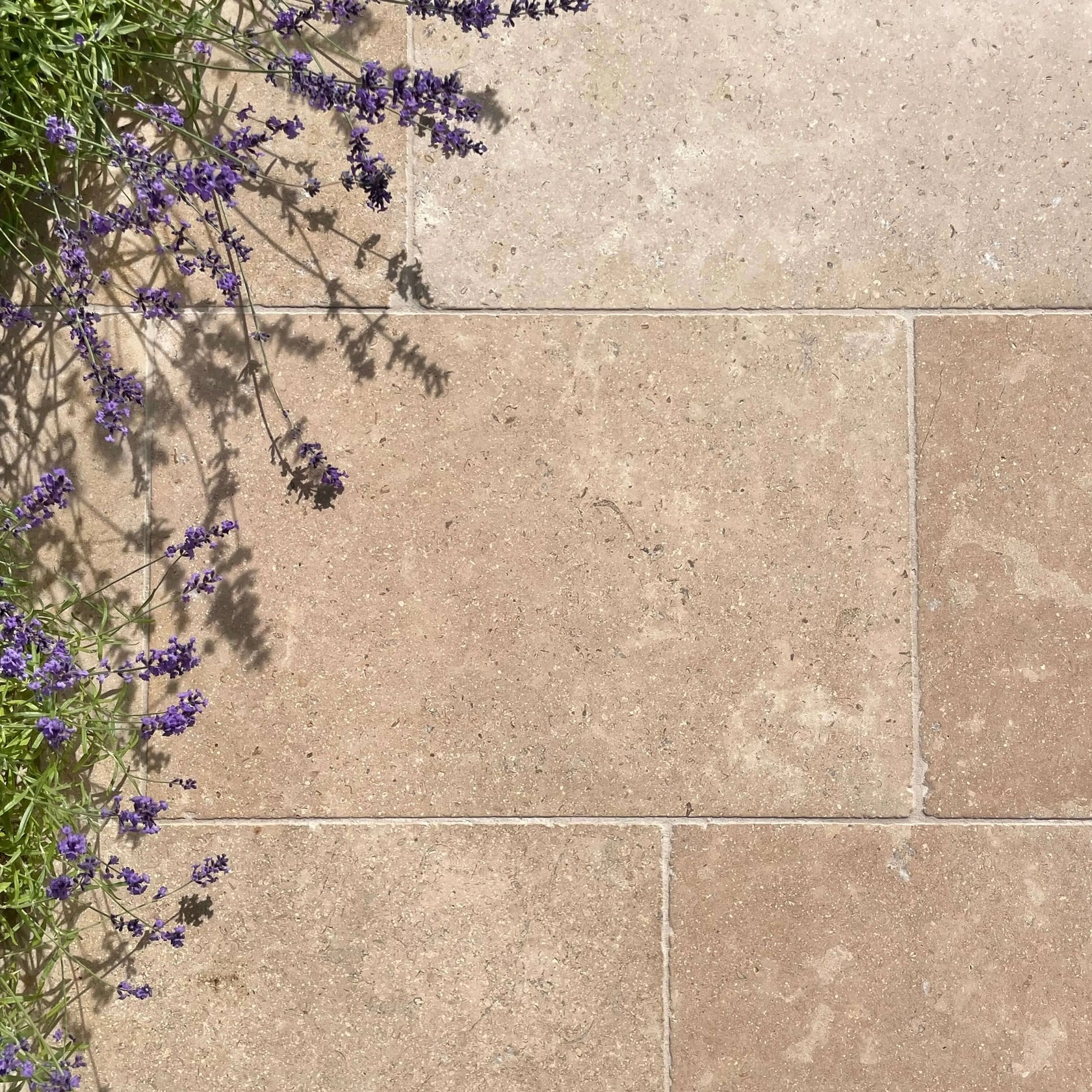Acid-wash Finish Sinal Pearl Limestone Marble Pool Coping Stone Outdoor Paver Tile factory