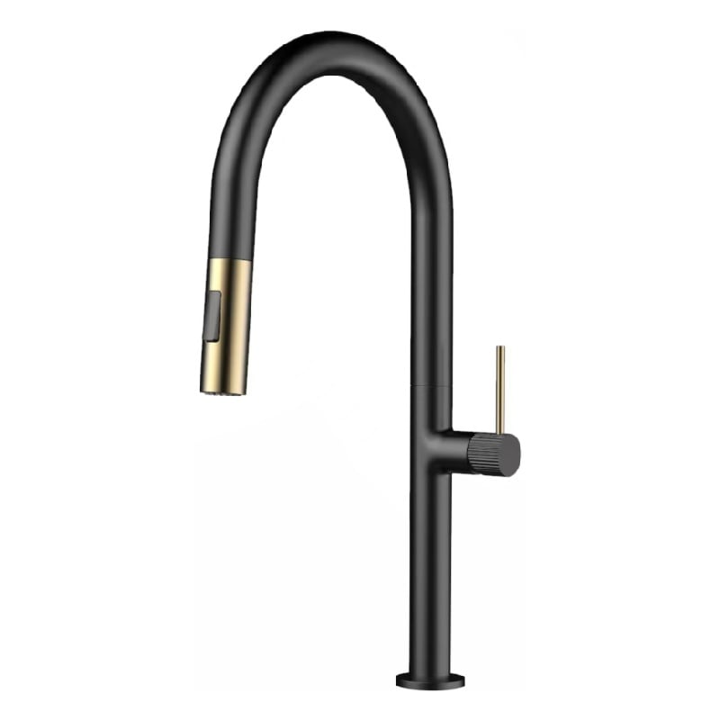 Rangkaian NewCool Seri 1LN740201, Keran Dapur Brass Populer dengan Semprotan Tarik Turun dan Satu Pegangan untuk Air Dingin dan Panas, Finishing Emas Sikat