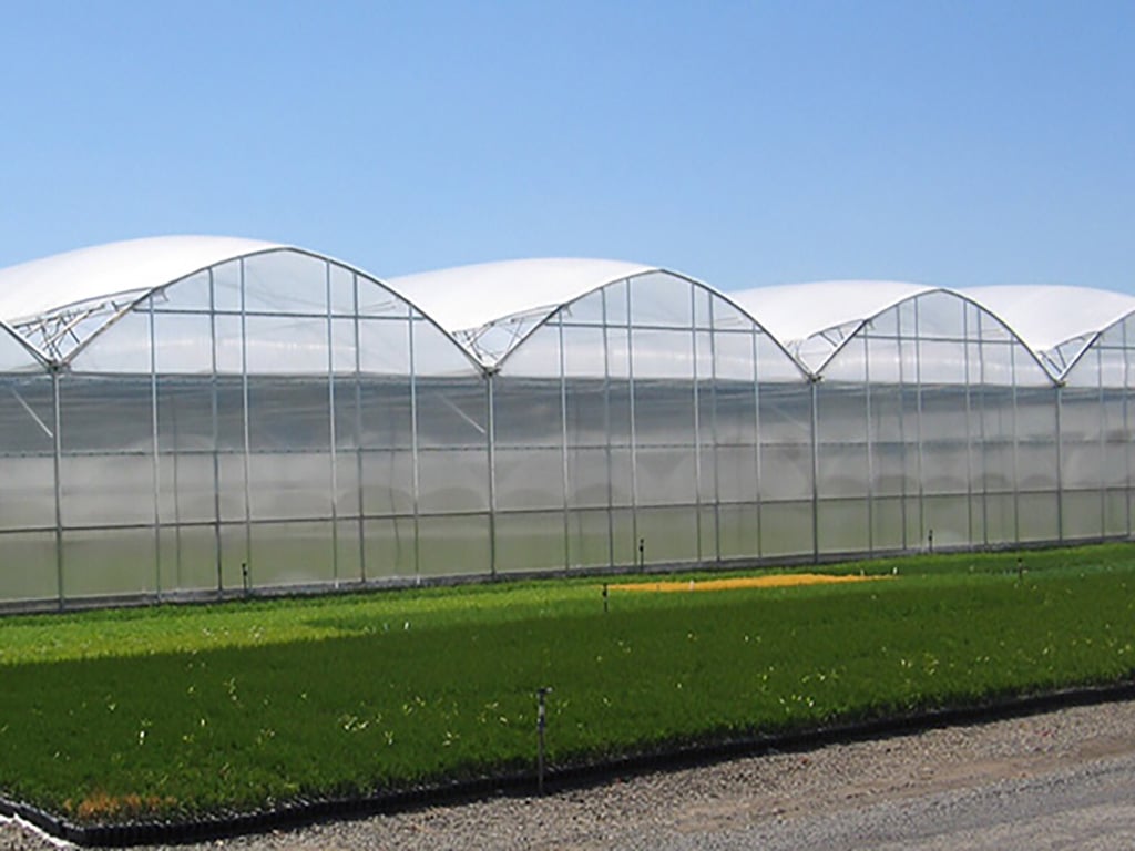 Turkmenistan · Greenhouse for vegetables in high-temperature areas