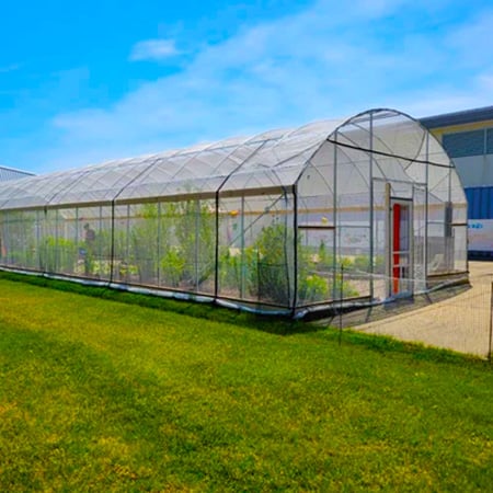 How Can a High Tunnel Greenhouse Extend Your Growing Season
