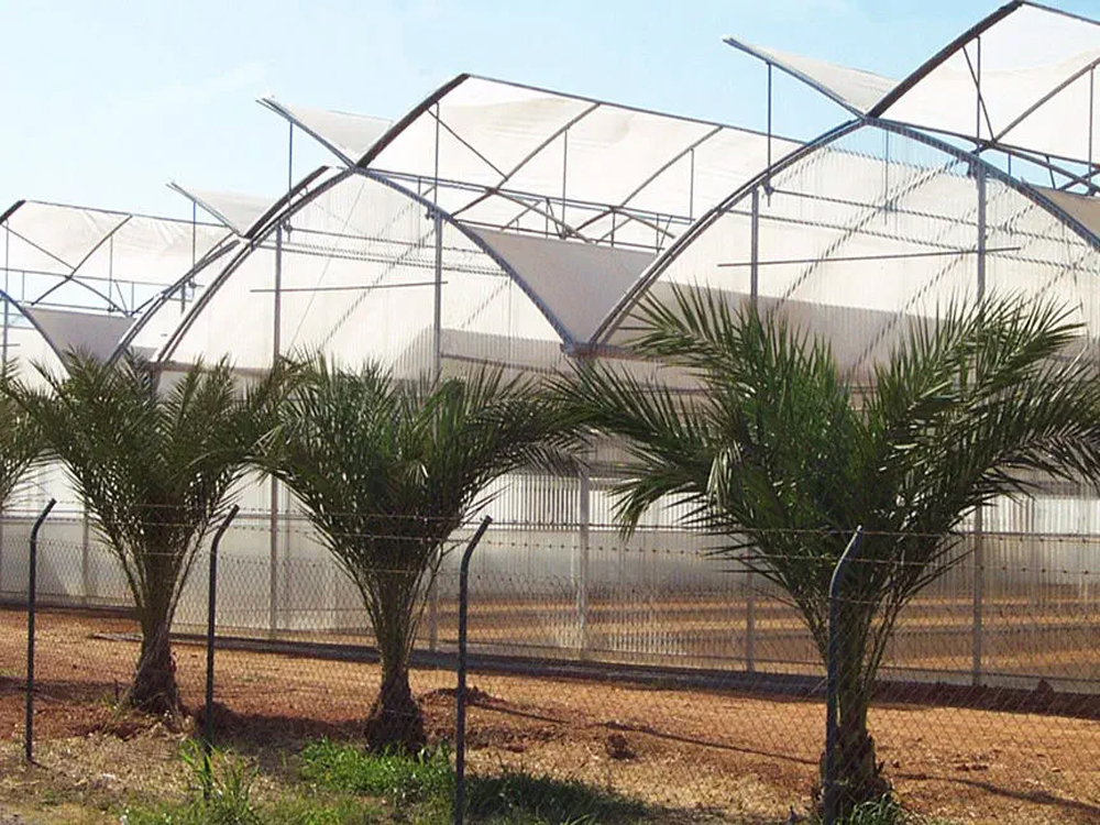 Explore the ridge - ventilated plastic greenhouse to increase production and solve the problem of high temperature
