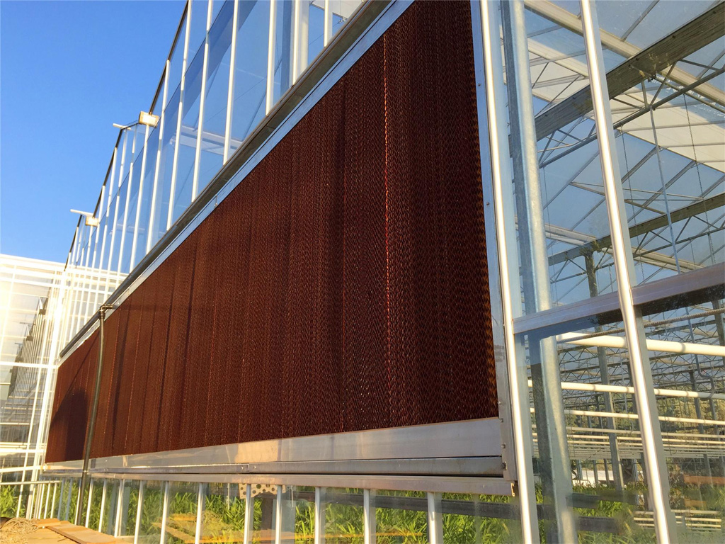 Sistema de Enfriamiento por Pad & Fan (panel y ventilador)
