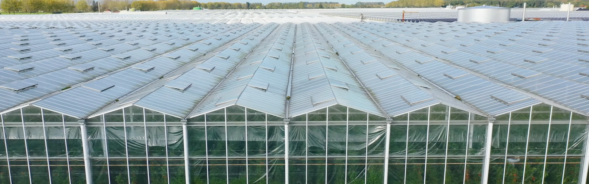 glass greenhouse-0