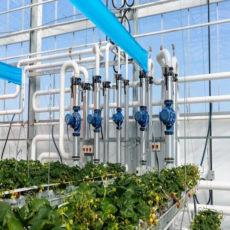Smart Irrigation & Fertigation System