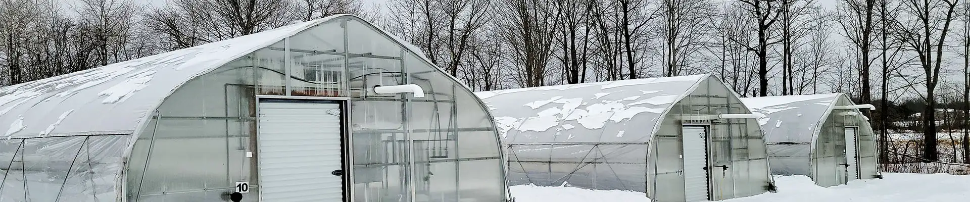 tunnel greenhouse-0