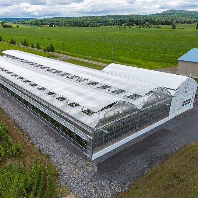 Gothic greenhouse