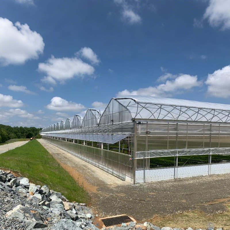 Ridge Ventilation Greenhouses