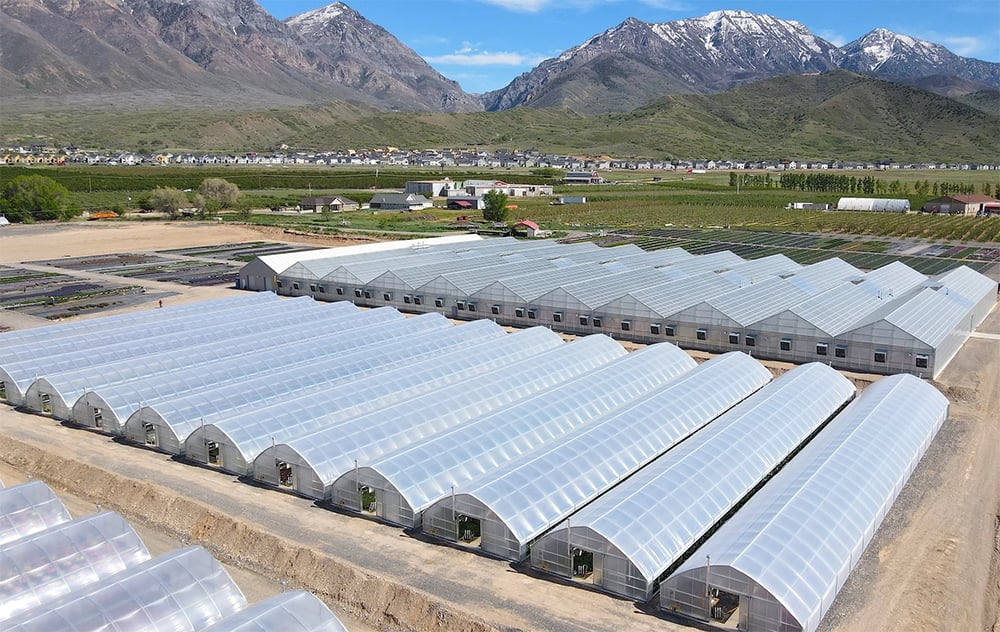 What Are the Features of a High Tunnel Greenhouse?