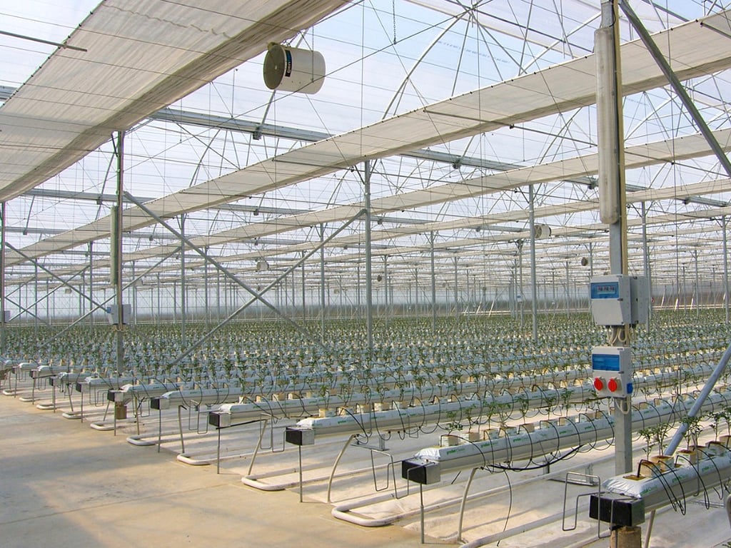 Growing Systems