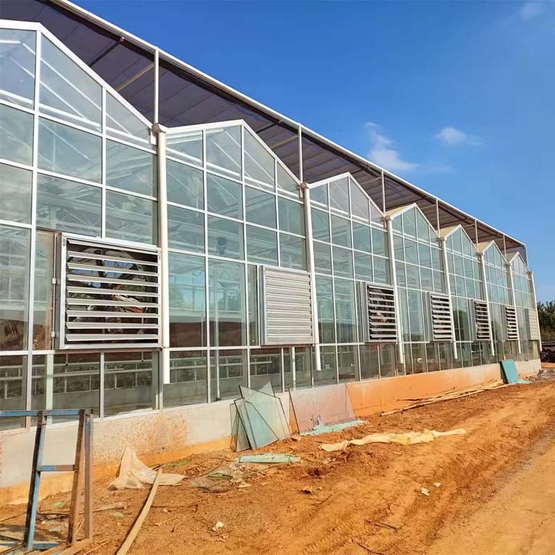 Wenluo Style Multi Span Greenhouse