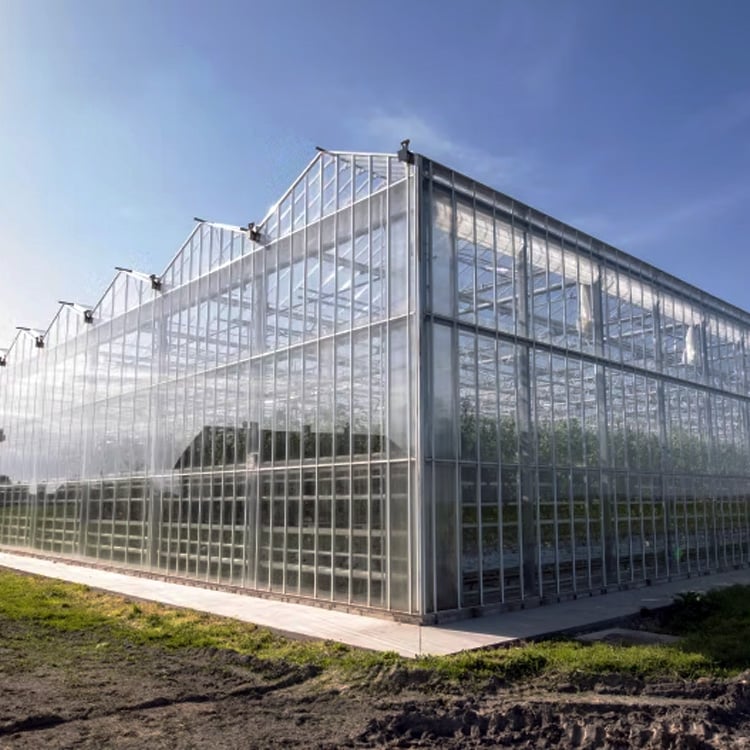Wenluo style glass greenhouse