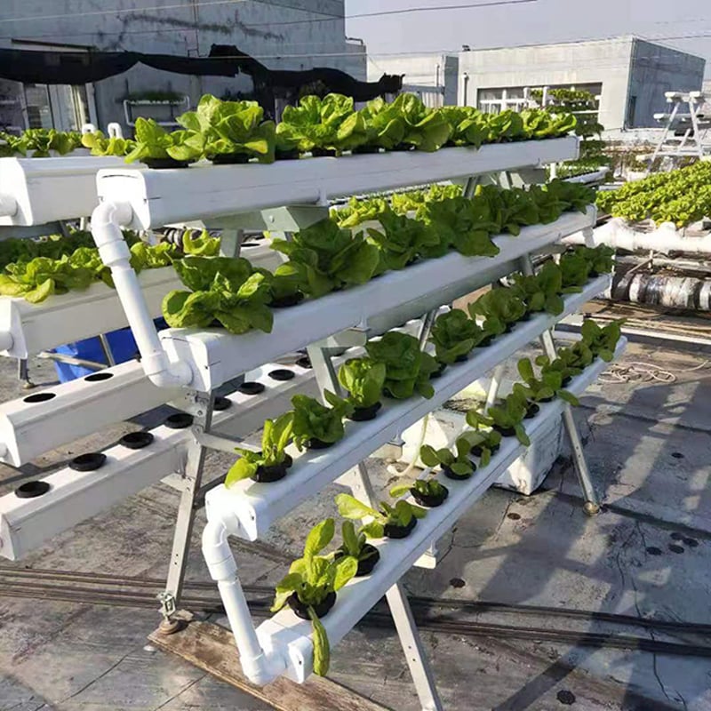 NFT Vertical Hydroponics