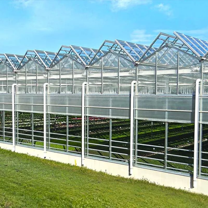 The Grand Peak greenhouse