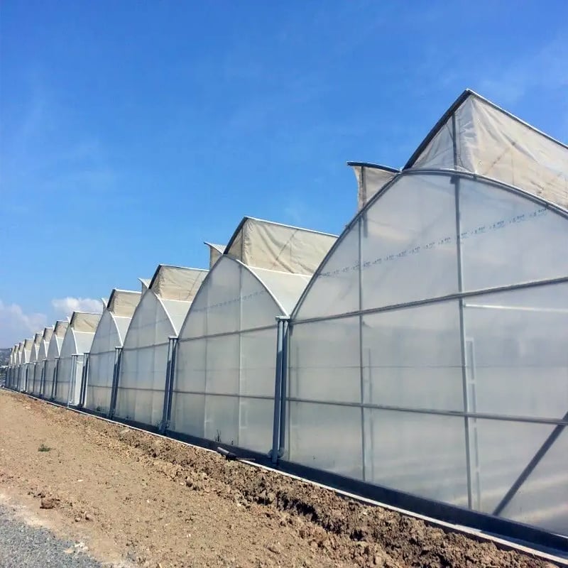 Multi span thin film greenhouse