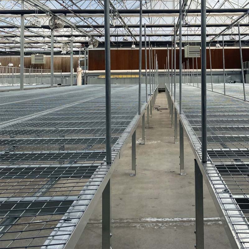 Wire Top Rolling Benches