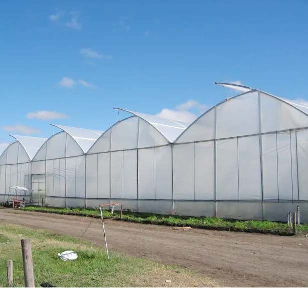 Hebei Fengzhiyuan Greenhouse Equipment Manufacturing Co., Ltd