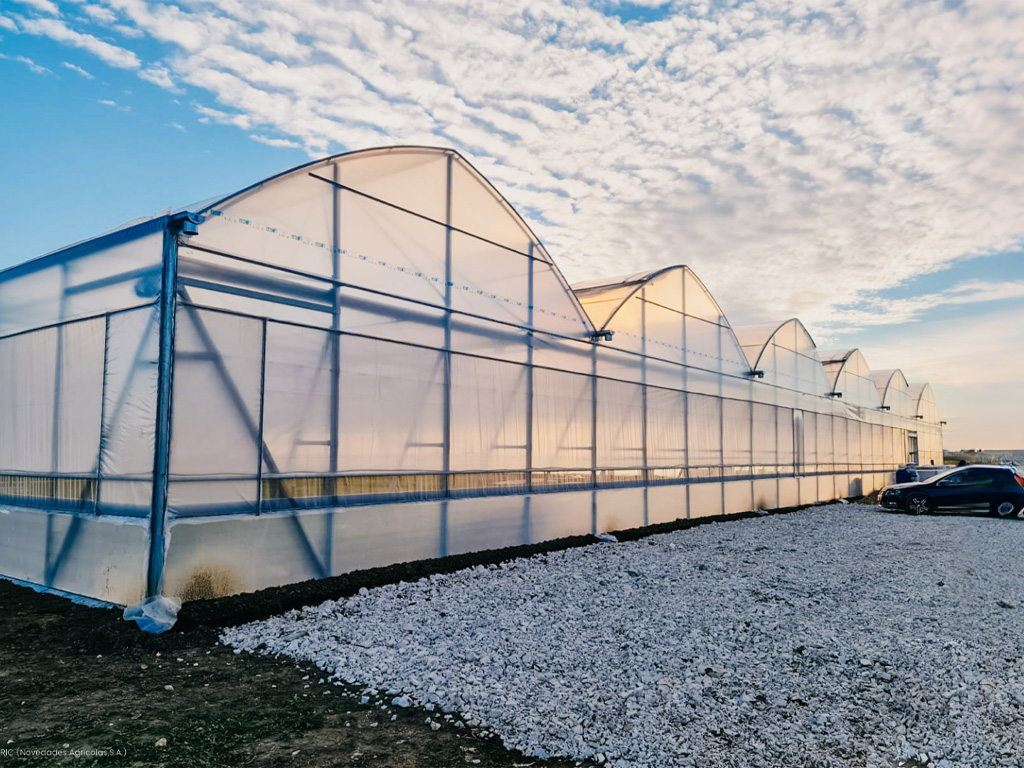 Control Climático de Precisión para Agricultura en Desiertos