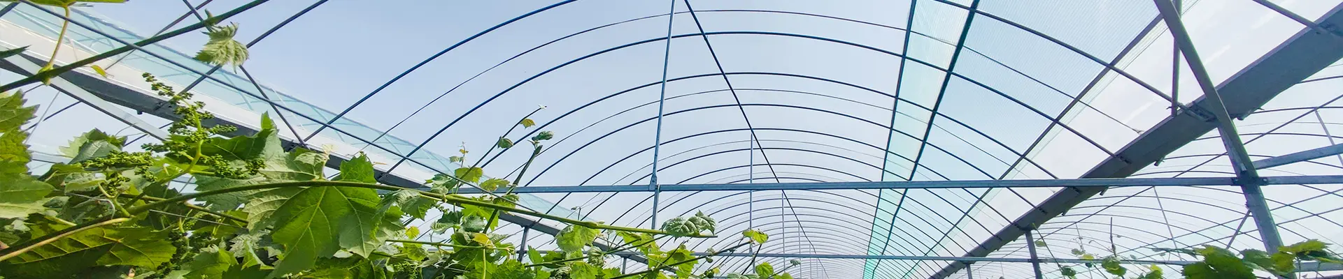 circular multispan-0