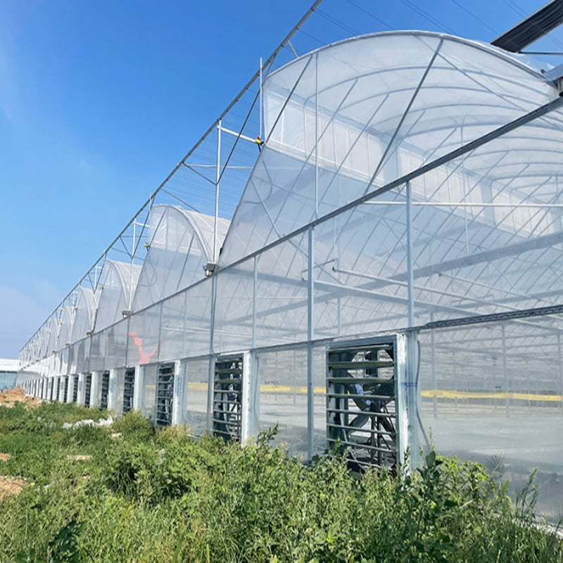 Serrated Greenhouse