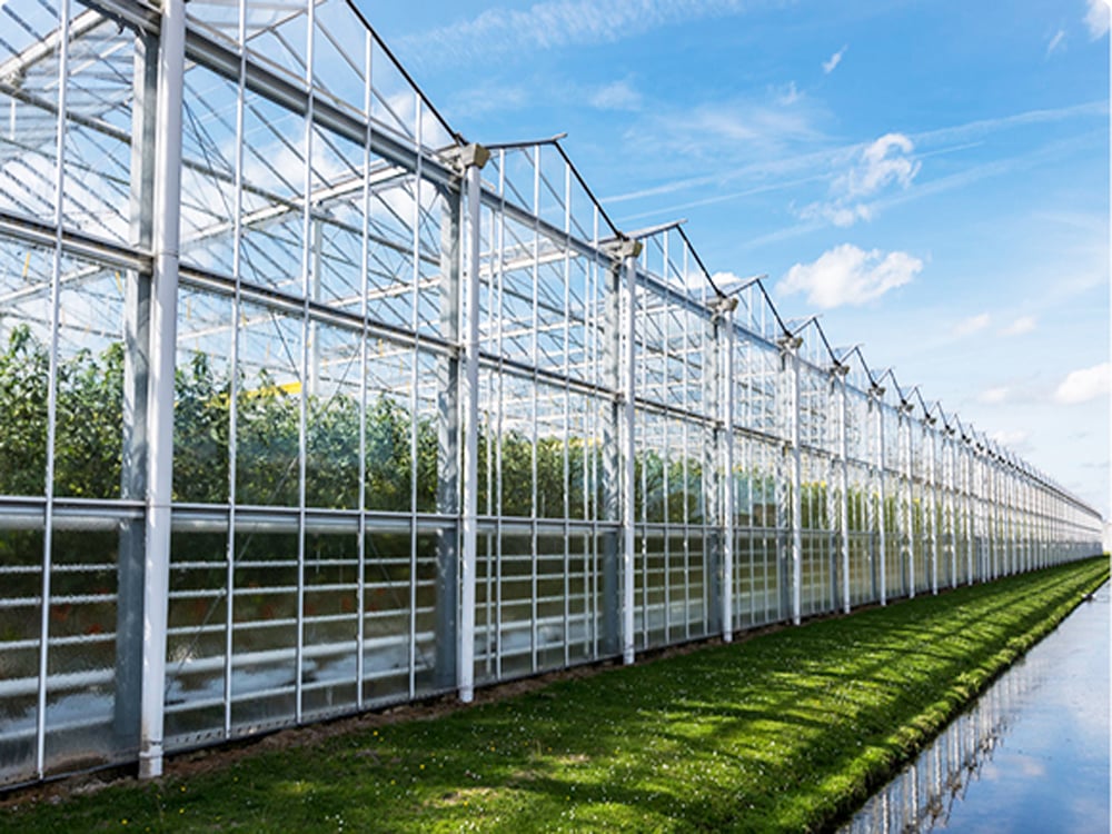 Commercial Greenhouses 