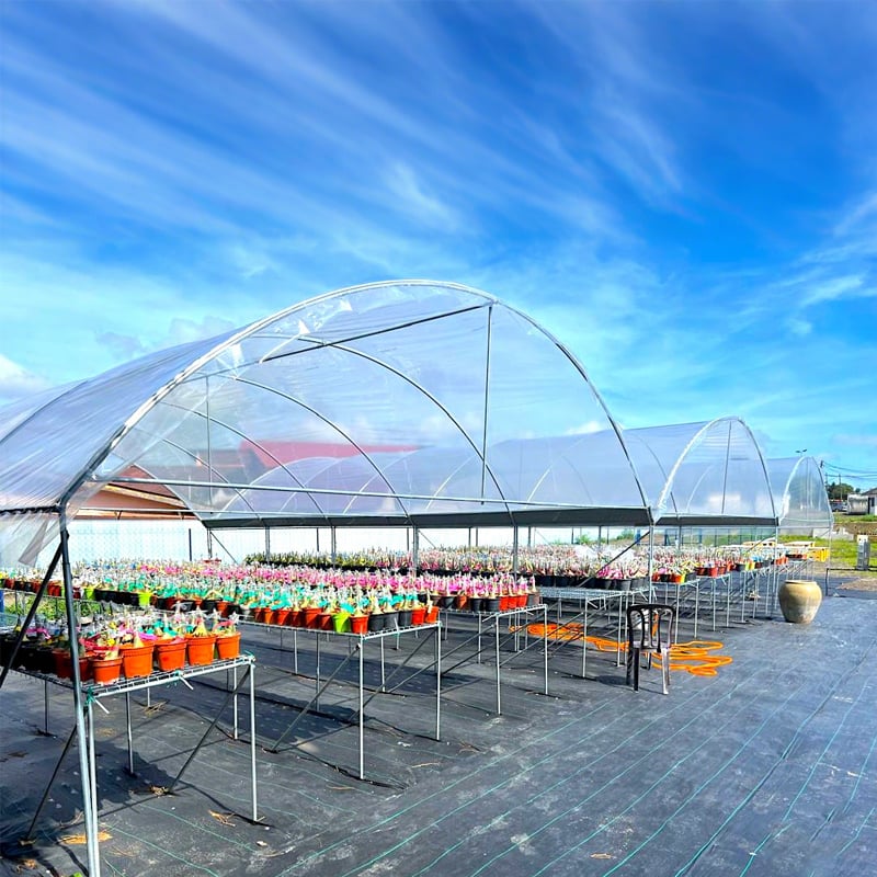 Berry Greenhouse