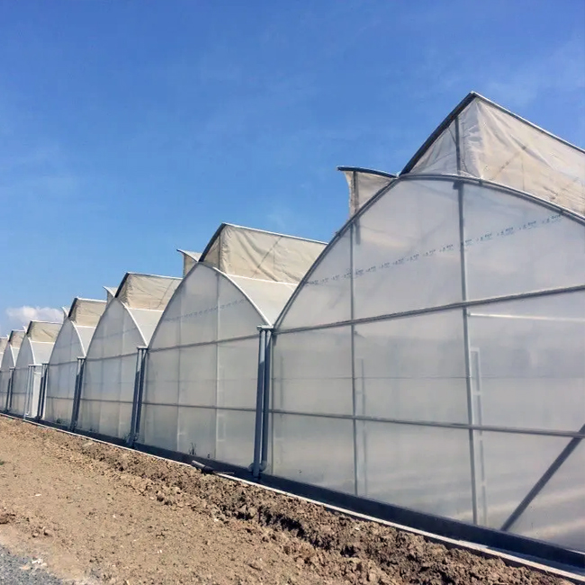 Gothic greenhouse