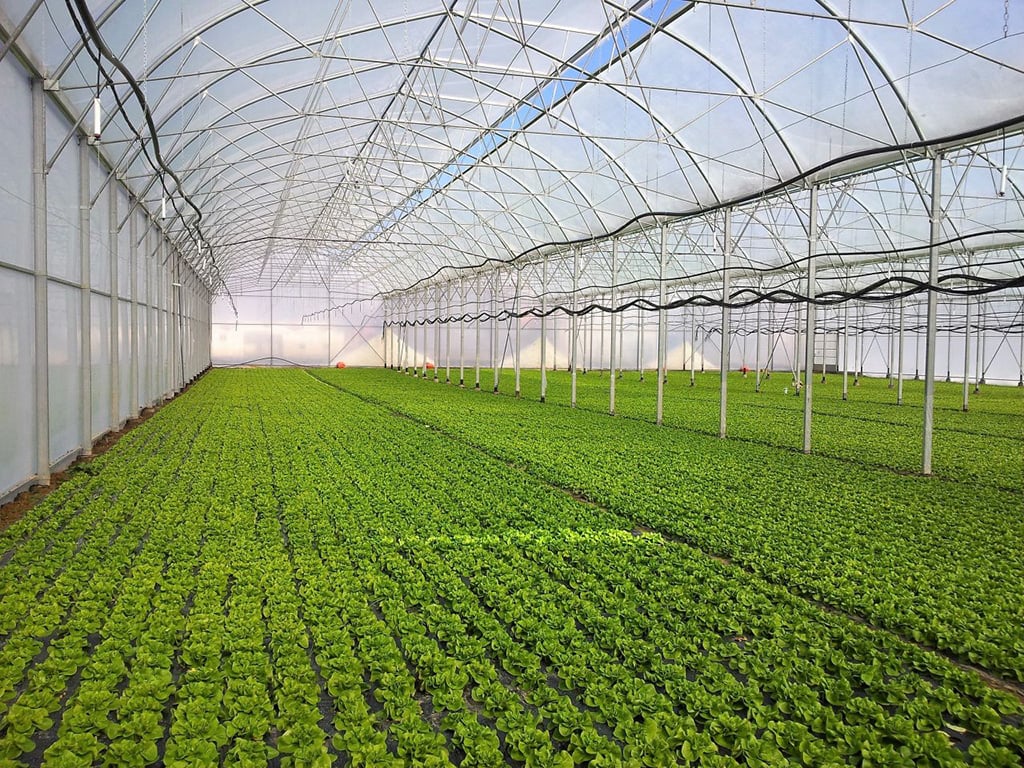 Tajikistan · Community-based greenhouse cooperation project