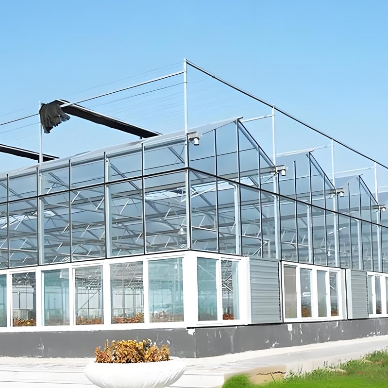 Breaking through terrain limitations, glass greenhouses unlock unlimited planting possibilities