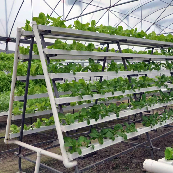 NFT hydroponics